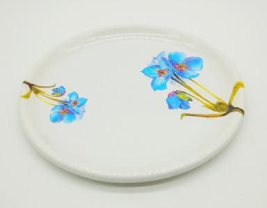 Meet melamine 6pcs full plate set